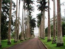 Aburi Gardens in Ghana